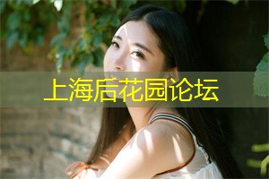 树屋酒店将满足你的期待