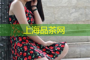 从环境保护到文化艺术